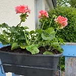 De La Nonette Bed & Breakfast Senlis (Oise)
