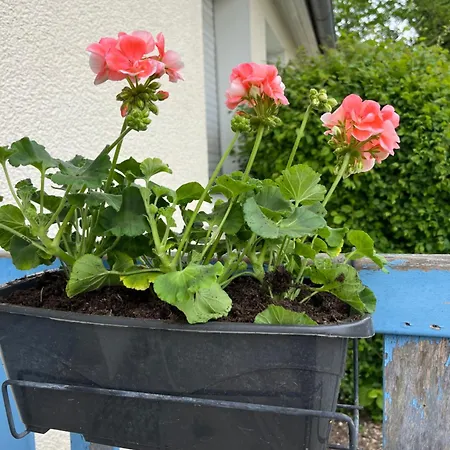 De La Nonette Bed & Breakfast Senlis (Oise)